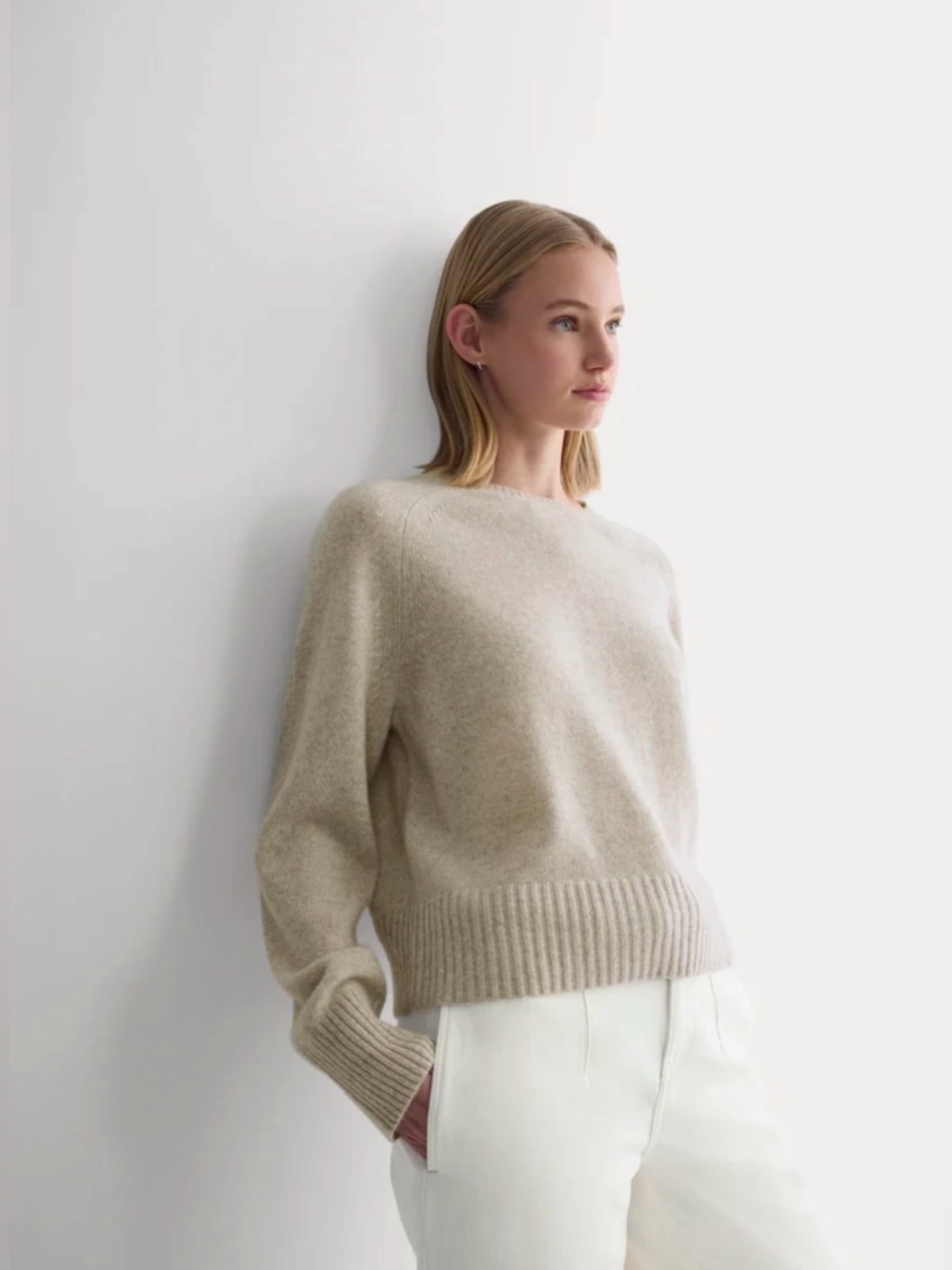 Everlane Sweater, THE BOXY CREW IN CASHMERE